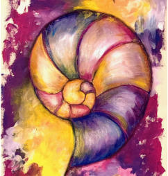 Nautilus