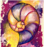 Nautilus